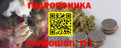 шишки Пенза