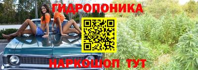 гашик Обнинск
